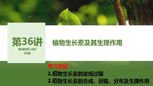 高三生物一轮复习课件：++植物生长素及其生理作用