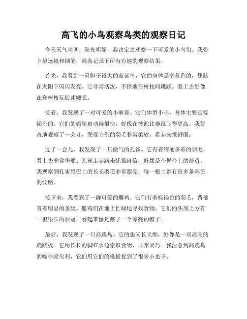 小学三年级作文高飞的小鸟观察鸟类的观察日记