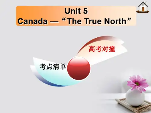 2019-2020学年高三英语一轮复习 Unit 5 Canada-“The True North”课件 