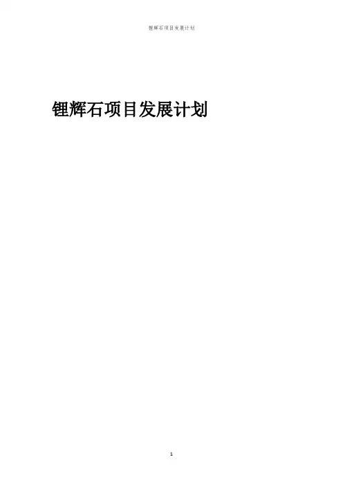 2024年锂辉石项目发展计划
