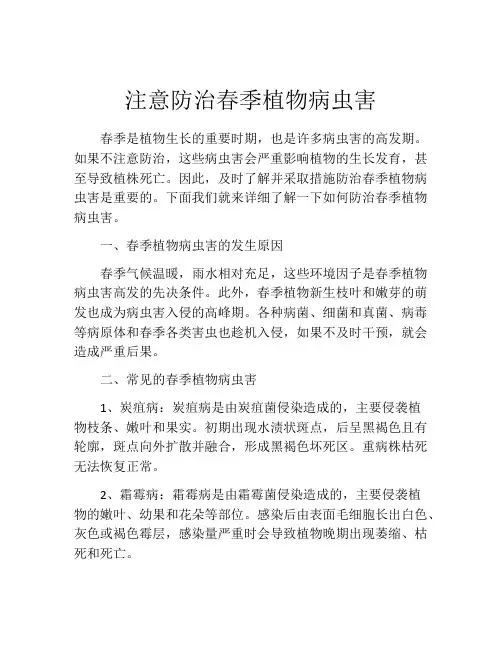 注意防治春季植物病虫害