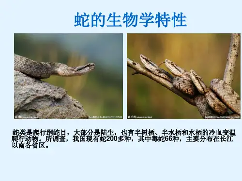 蛇的生物学特性