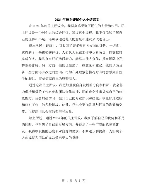 2024年民主评议个人小结范文