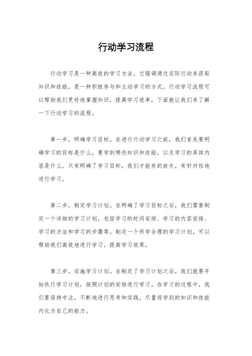 行动学习流程