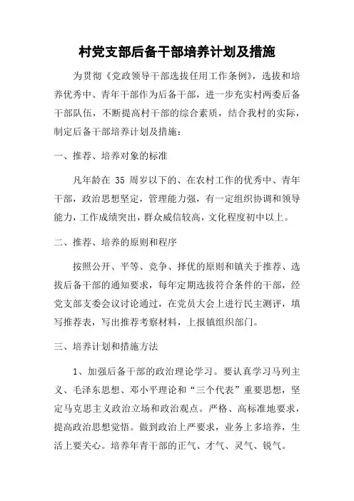 村党支部后备干部培养计划及措施