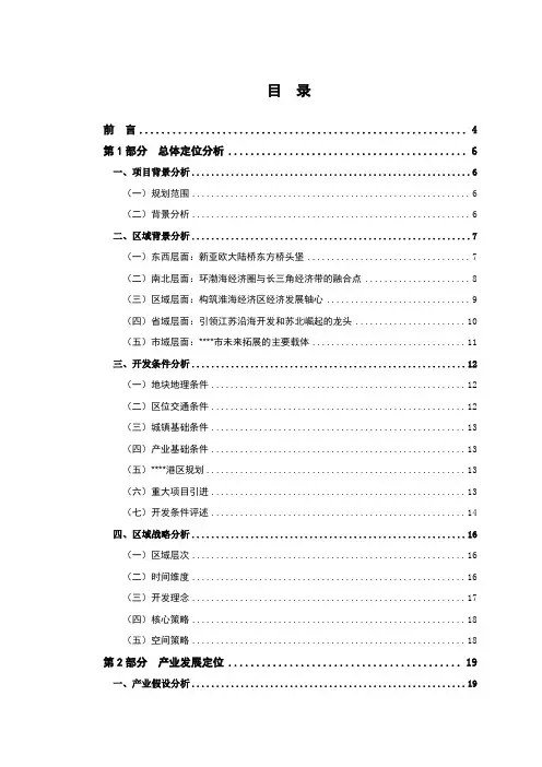 开发区发展战略规划DOC