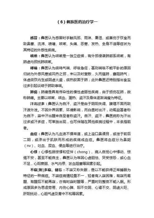（6）彝族医药治疗学一