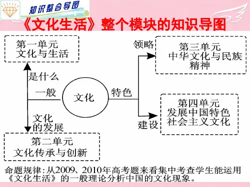 高考政治专题复习 (9)文化的作用与发展课件