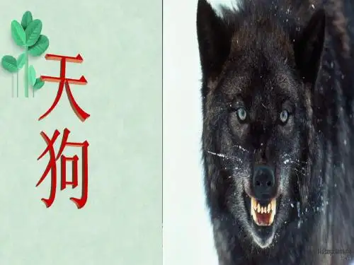 天狗ppt课件2 人教课标版