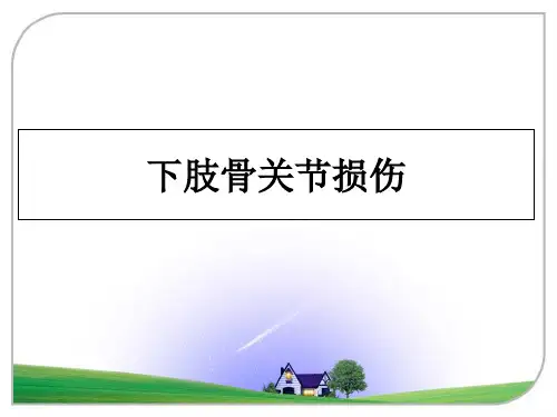 最新下肢骨关节损伤PPT课件