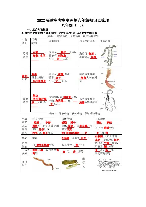 福建省中考生物人教版八年级上下册知识点梳理