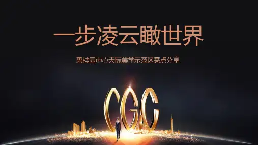20181211—碧桂园中心展示区包装亮点分享11.28