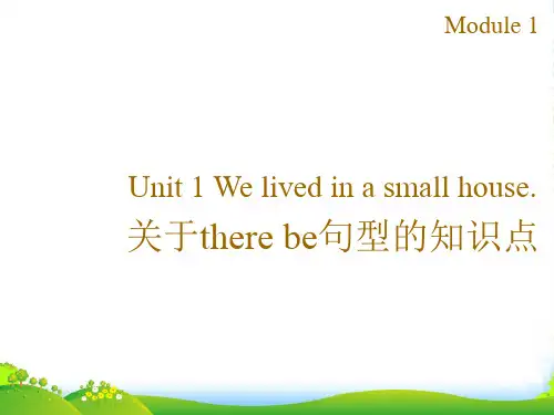 新外研版五年级英语下册Module 1 Unit 1 -关于there be句型的知识点
