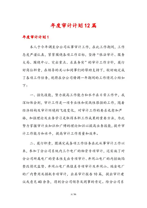 年度审计计划12篇