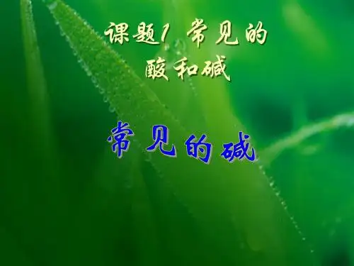 常见的酸和碱(常见的碱)