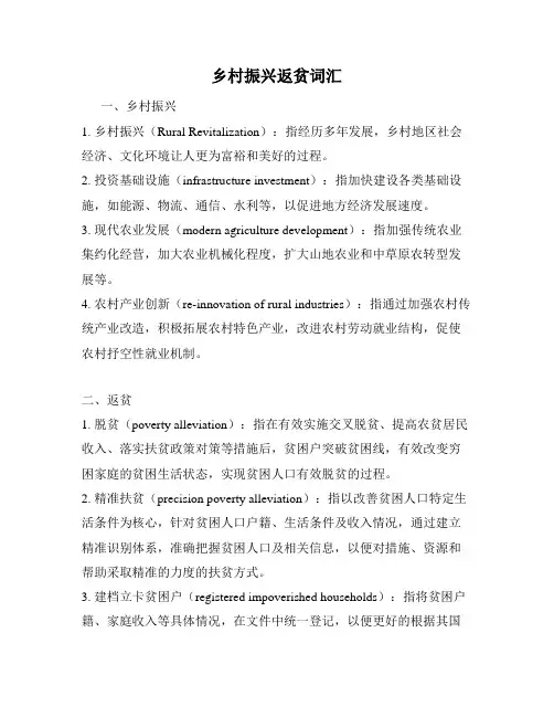 乡村振兴返贫词汇