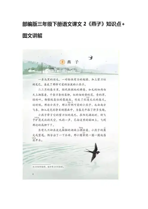 部编版三年级下册语文课文2《燕子》知识点+图文讲解