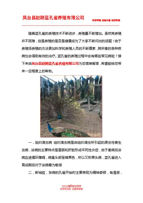 蓝孔雀常见病
