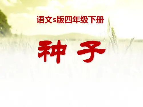 《种子》ppt课件