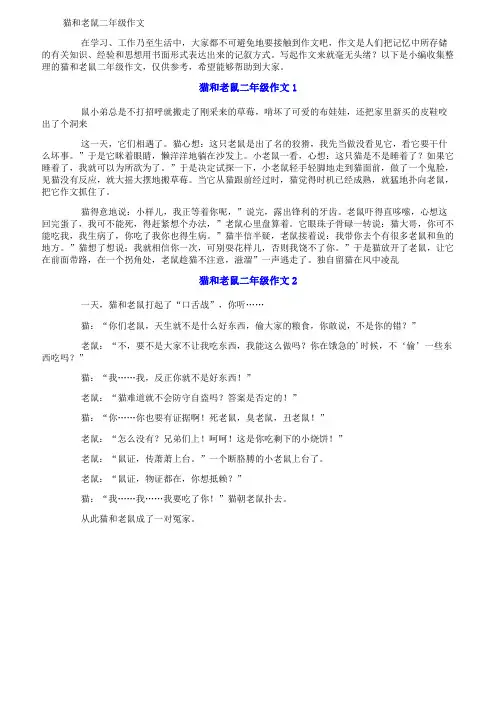 猫和老鼠二年级作文