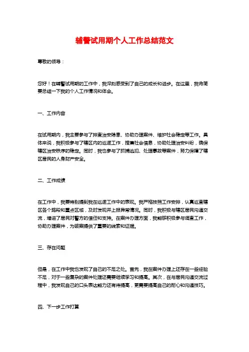 辅警试用期个人工作总结范文
