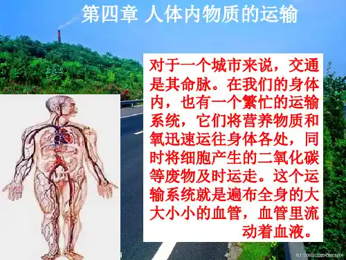人教版七年级生物下册 4.1 流动的组织——血液 课件(共41张PPT)