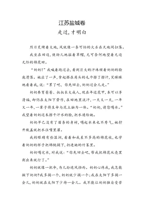江苏2018年中考满分高分作文