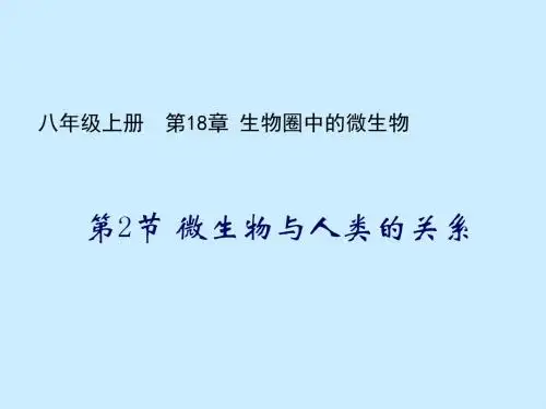 生物：18.2《微生物与人类的关系》课件2(北师大版八年级上)