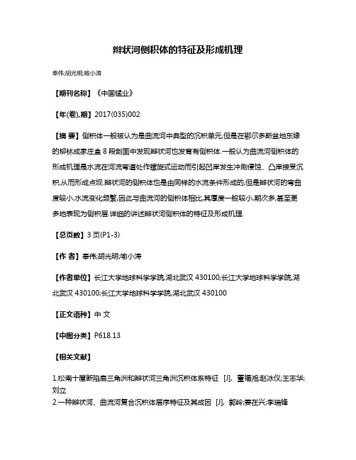 辫状河侧积体的特征及形成机理
