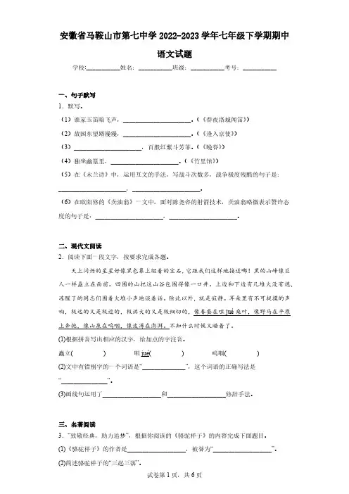 安徽省马鞍山市第七中学2022-2023学年七年级下学期期中语文试题(含解析)
