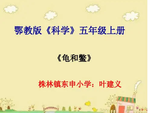 说课课件(确)