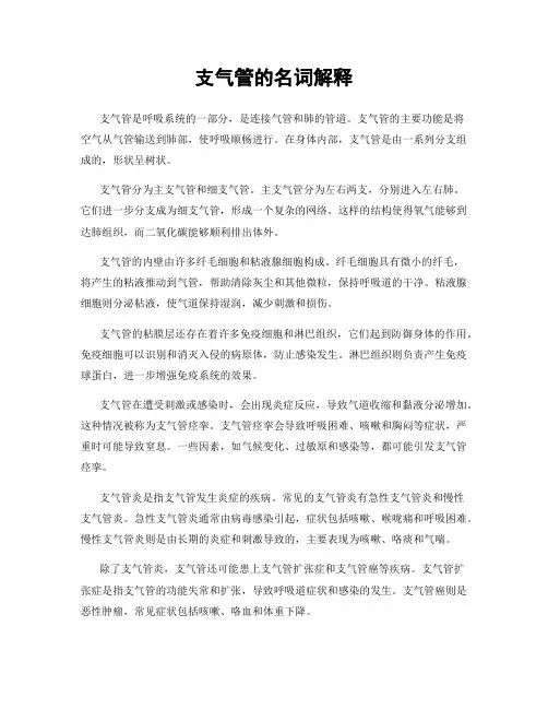 支气管的名词解释