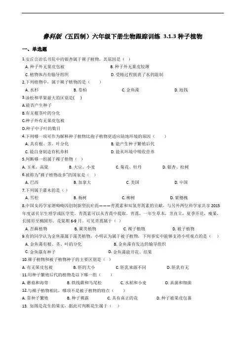 鲁科版(五四制)六年级下册生物跟踪训练 3.1.3种子植物(解析版)