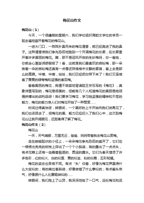 梅花山作文