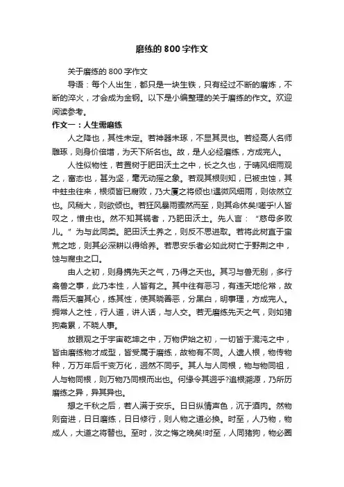 磨练的800字作文