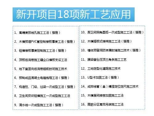 新开项目18项新工艺应用