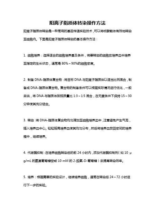 阳离子脂质体转染操作方法