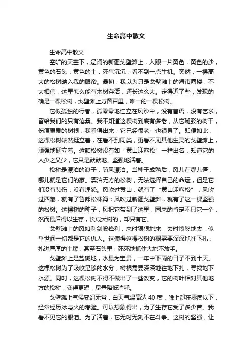 生命高中散文
