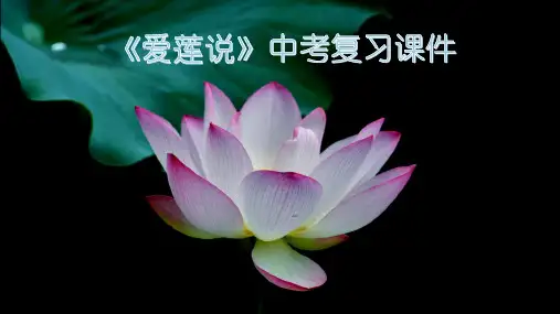 《爱莲说》中考语文复习精品课件