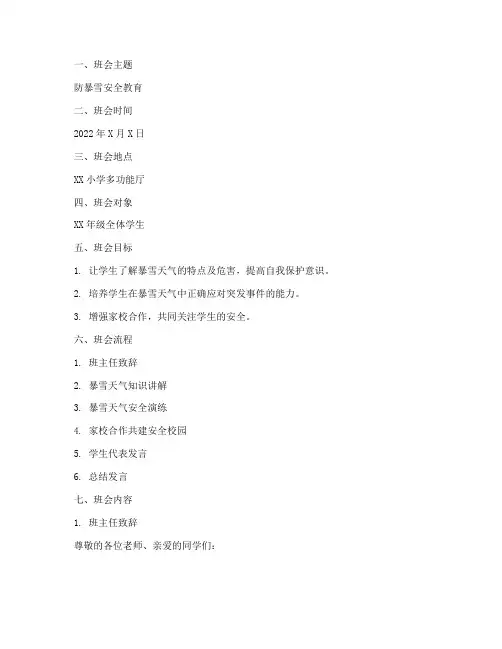 小学防暴雪安全教育班会