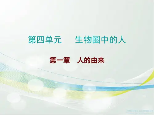 2017广东中考总复习生物第四单元生物圈中的人第一章人的由来