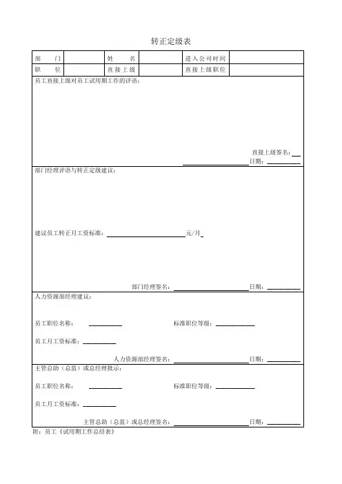 转正定级表模板