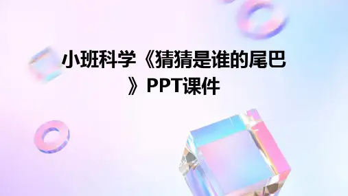 小班科学《猜猜是谁的尾巴》PPT课件