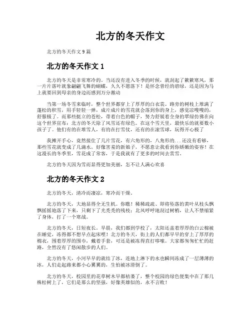 北方的冬天作文