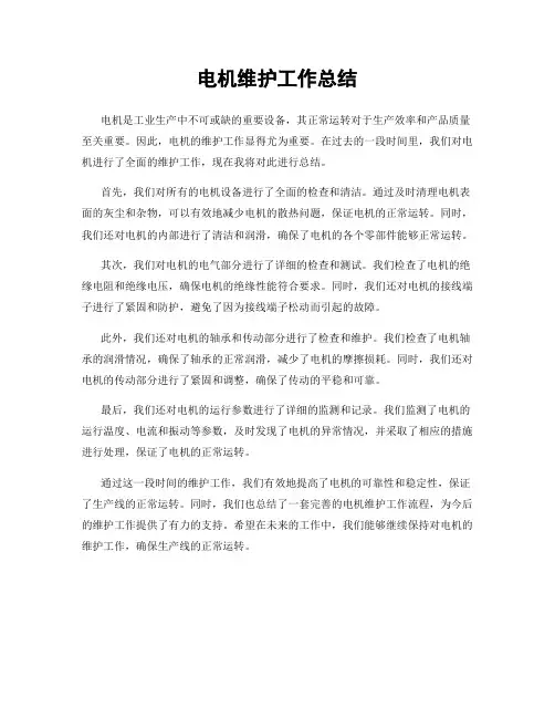 电机维护工作总结