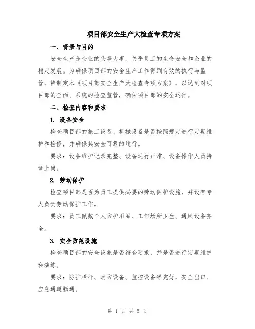 项目部安全生产大检查专项方案