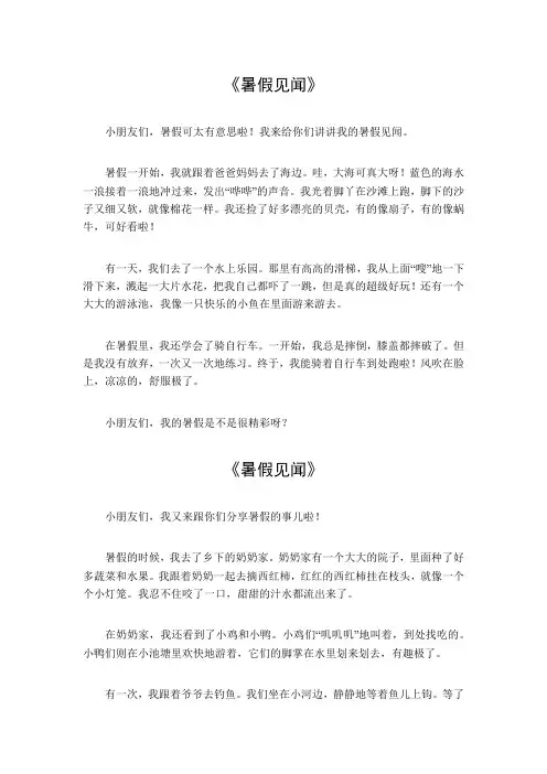 暑假见闻200字