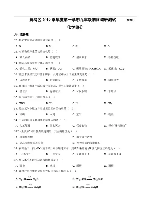 上海市黄浦区2020届九年级上学期期末考试(一模)化学试题