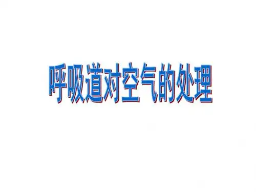 人教版七年级下册生物3.1呼吸道对空气的处理(共33张PPT)