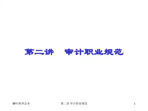 审计职业规范(2)